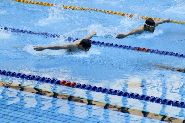 مخالفت فدراسیون شنا با استعفای مدیر تیم های ملی شنا